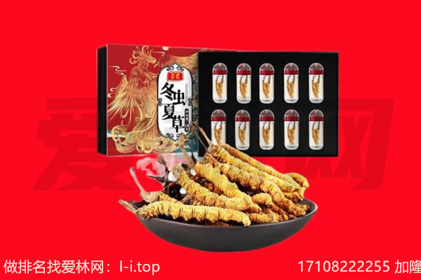全椒县回收虫草.jpg
